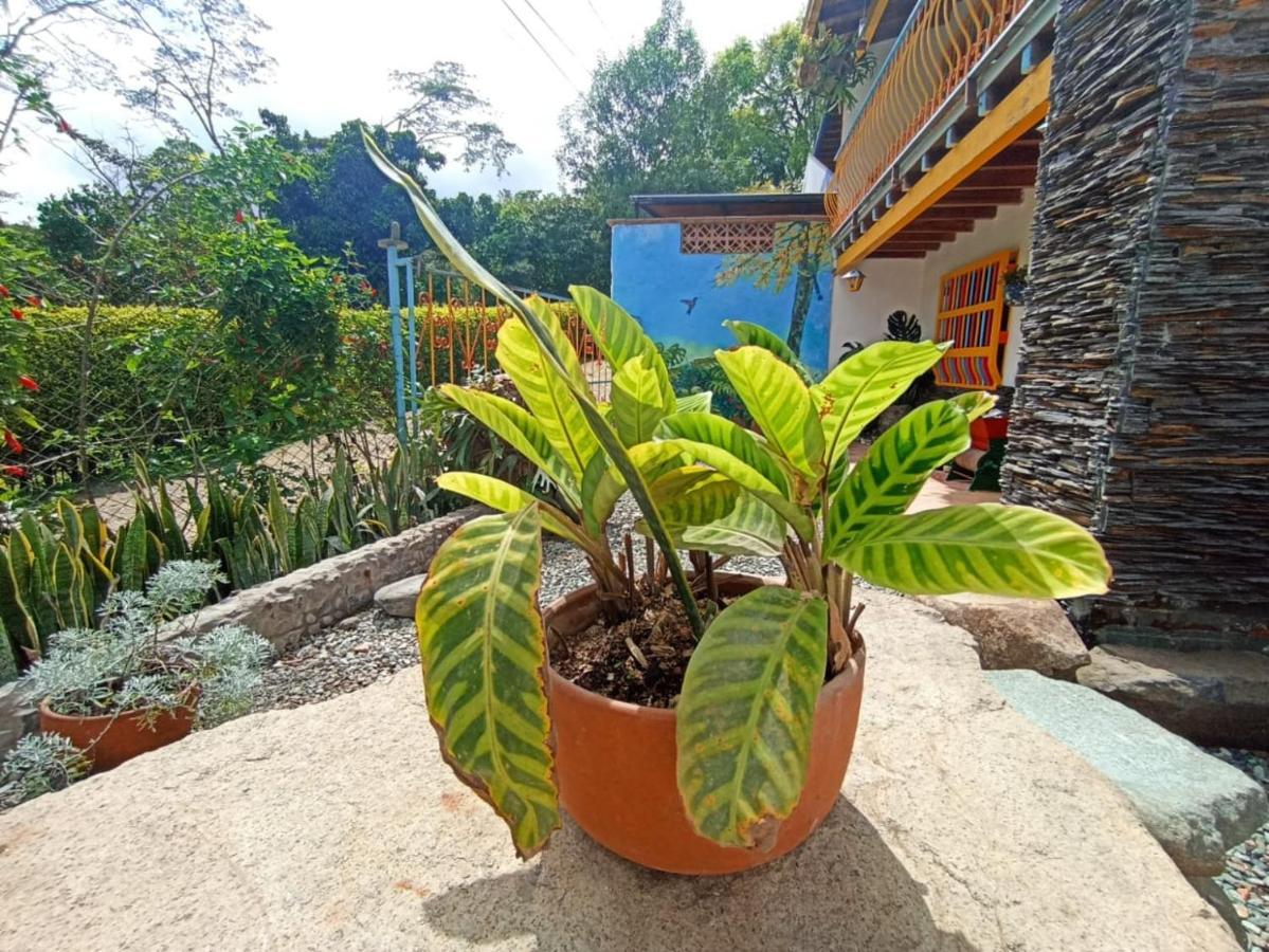 Casa De Las Rocas Hostel Хардин Экстерьер фото